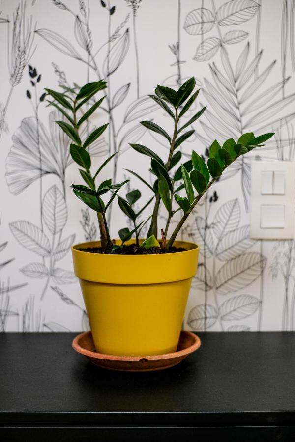 Studio Cocooning In Strasbourg & Help An Ecoproject ! Lejlighed Eksteriør billede